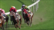 Unfocused Shot Of Horse Race Compete On A Grass Track. (Slow Motion)