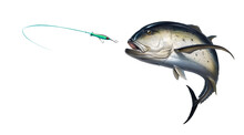 Crevalle Jack Saltwater Fish Attacks Popper Lures Topwater Fishing Baits. Illustration Realistic Isolate Art. Sea Fishing At Caranx Caninus.