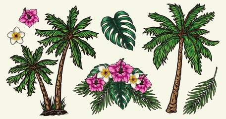 Tropical plants colorful vintage concept