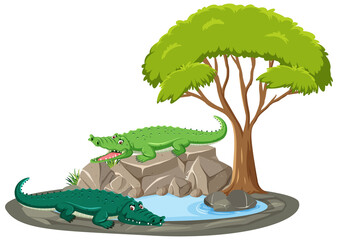 Canvas Print - Isolated scene with crocodile around the pond