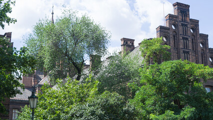 amazing roof of an old building in the middle of trees