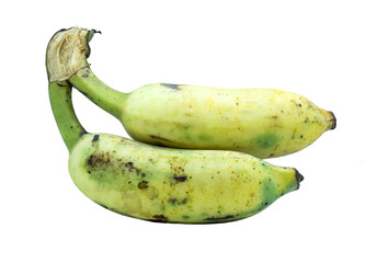 Two bananas isolated on white background