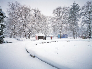 Wall Mural - City park without people in winter. Snow-covered trees, bushes and benches in the city park. Russia, Belorechensk, city park in winter.