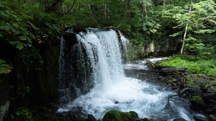 waterfall in the forest