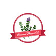 © Kseniia - Natural thyme oil logo with hand drawn elements. Vector illustration in colored sketch style isolated on white background
