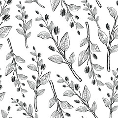 Wall Mural - Shoots with leaves and buds. Monochrome illustration. Vector seamless pattern.