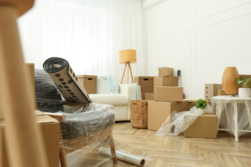 Cardboard boxes, potted plants and household stuff indoors. Moving day