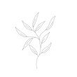 Vector doodle branch. Silhouette of plant.