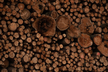 Wall Mural - Background of cut wood logs stacked in a pile. wood for the production of chipboard