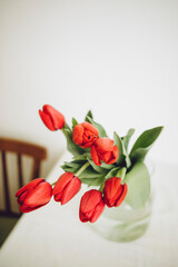 bouquet of red tulips in a transparent vase on a white background march 8 mothers day