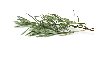 Wall Mural - rosemary twig isolated on white background.