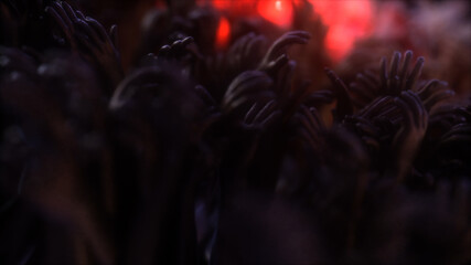 Canvas Print - Concert Crowd Hands dancing in dark. High quality photo