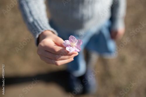 アドビストックのデザイン かべいろ Com おしゃれ壁紙リフォーム貼り替え インクジェット壁紙のかべいろ Com アドビストックのデザイン かべいろ Com おしゃれ壁紙リフォーム貼り替え インクジェット壁紙のかべいろ Com