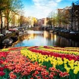 Fototapeta Tulipany - Houses of Amstardam, Netherlands