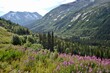 © Mary Baratto - View of the Alaskan Summer Countryside from the White Pass Rail near Skagway Alaska