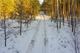 Fototapeta Na ścianę - Las zimą. Widok z drona.