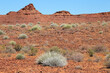 Leinwandbild Motiv Rugged desert landscape with rocks and desert plants - southern Namibia.