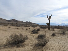 Scenic Mojave Desert With The San Gabriel Mountains In The Background, In California.