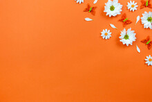 Spring Flat Lay Background With White Flowers And Butterflies On Colorful Orange Background. Traditional Springtime Decoration. Top View. Copy Space.