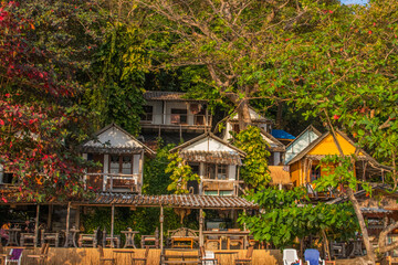 Sticker - Small colorful buildings surrounded by dense green trees