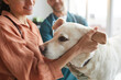 © Seventyfour - Close up of smiling female doctor stroking pet dog during examination at vet clinic, copy space