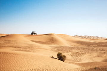 Scenic landscape with desert plant and buggy quad car riding far at sand hill, extreme sports transport 