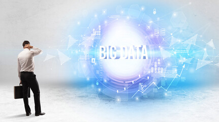 Wall Mural - Rear view of a businessman standing in front of BIG DATA inscription, modern technology concept