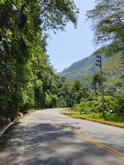 Landscape of jungle road in Peru (Chanchamayo, Peru)