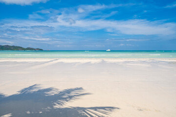 Wall Mural - Tropical beach with coconut palm tree shadows on white sand, copy space, travel summer concept