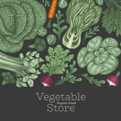Wall Mural - Hand drawn vintage color vegetables design. Organic fresh food vector banner template. Retro vegetable background. Traditional botanical illustrations.