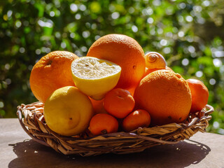 Wall Mural - Oranges