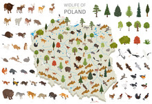 Isometric 3d Design Of Poland Wildlife. Animals, Birds And Plants Constructor Elements Isolated On White Set. Build Your Own Geography Infographics Collection.