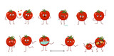 Fototapeta  - Set of cute tomatoes characters with different emotions