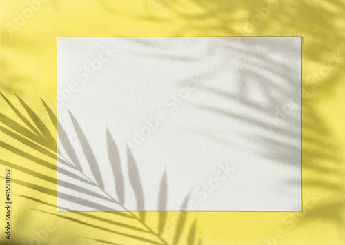 Obraz Dibond Blank paper mockup. Shadow yellow background Floral flatlay template