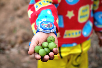 child playing with green fruits 