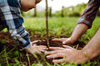 Leinwandbild Motiv Planting a family tree. Hands of grandfather and little boy planting young tree in the garden. Environmental awareness. Spring concept, save nature and care. 