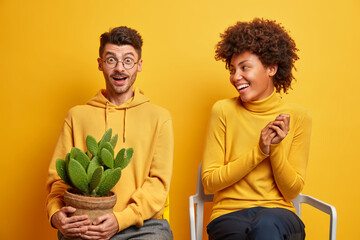 Poster - Happy mixed race woman and man move in new apartment pose on comfortable chairs against yellow background. Surprised man wears spectacles and hoodie holds potted cactus. Diverse couple indoor