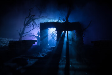 Wall Mural - old ruined stone house in deserted garden at night. selective focus