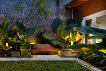 Tropical Backyard Garden Illumination. Illuminated Garden At Night With Various Of Plants