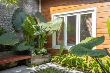 Wall Mural - Tropical Garden backyard during the day with wooden cabin