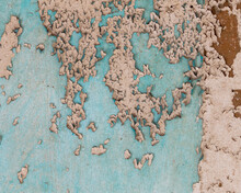 Cream Colored Paint Peeling Off A Turquoise Colored Plaster Wall. Unusual, Weathered, Grungy Background Texture Or Wallpaper.
