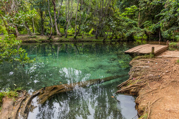 Sticker - Pond in the National Park El Choco near Cabarete, Dominican Republic