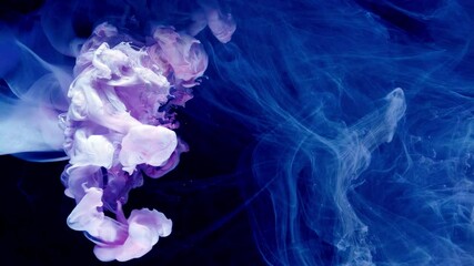 Wall Mural - Motion Color drop in water,Ink swirling in ,Colorful ink abstraction.