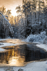 The wild frozen small river in the winter wood, the wild nature at sunset, the river of red color, ice, snow-covered trees