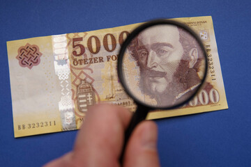 Wall Mural - Hungarian 5000 forint banknote, on it Portrait of István Szechenyi. Examine through the magnifying glass. Bank image and photo.