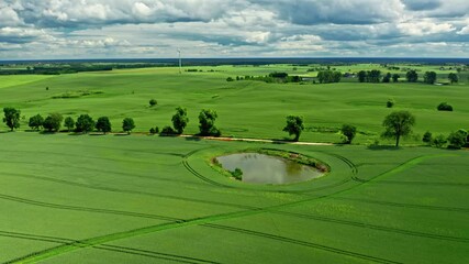 Wall Mural - aerial view of summer green field in poland