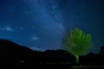 starry night sky