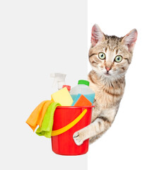 Poster - Cleaning concept. Cat looks from behinde empty white banner and holds bucket with  washing fluids and rags in it paws. isolated on white background. Empty space for text