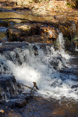 waterfall in park