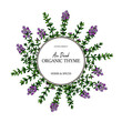 © Kseniia - Hand drawn thyme circle frame. Vector illustration isolated on white. Botanical herbal plant in vintage colored sketch style. Thymus vulgaris.